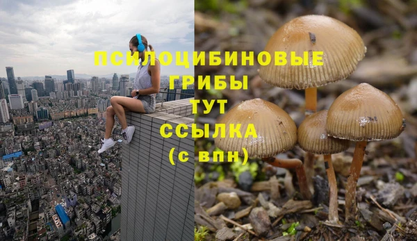 синтетический гашиш Алексеевка